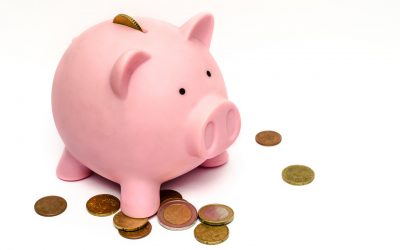 Seguro Individual de Ahorro a Largo Plazo